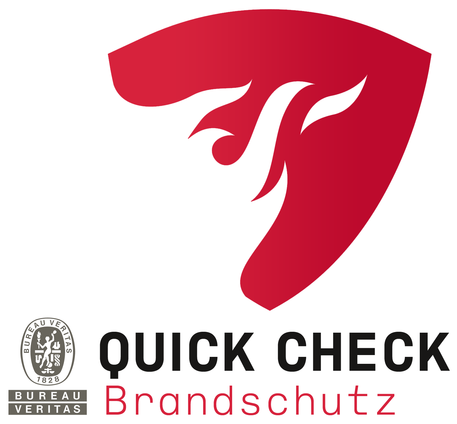 bv safety check logo_v2_png logo